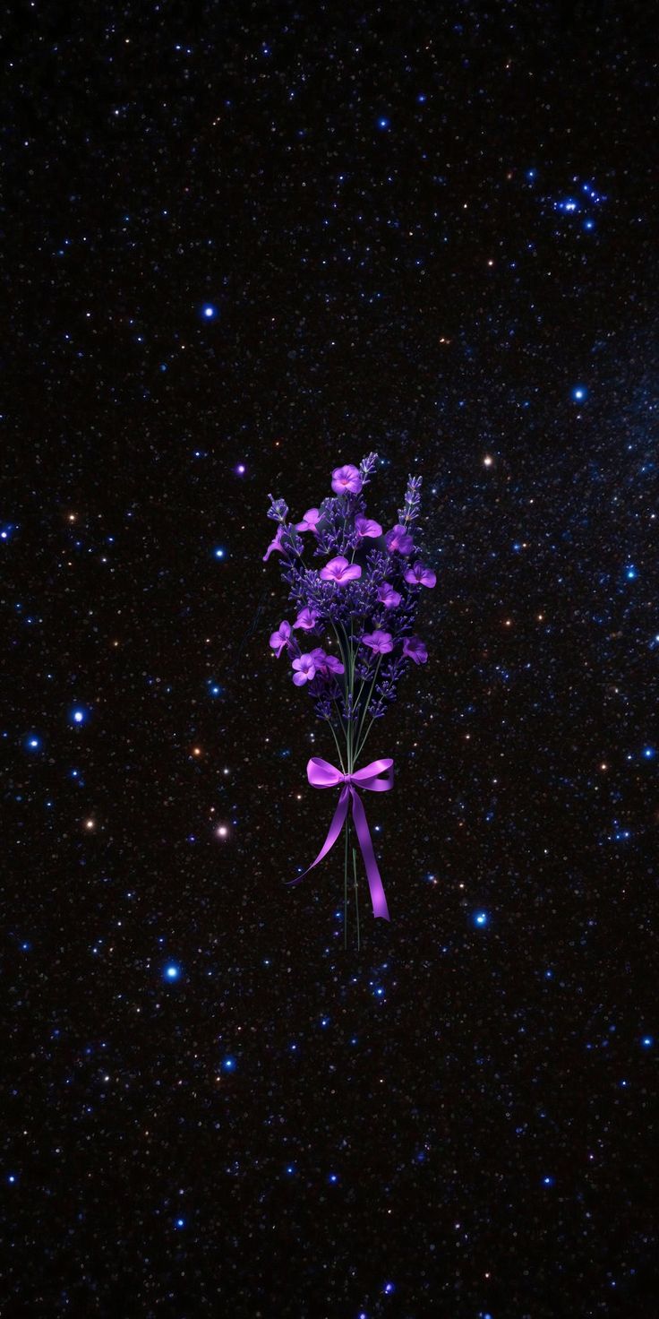 Dianthus, Pink, Lobelias, Night, Universe Wallpaper