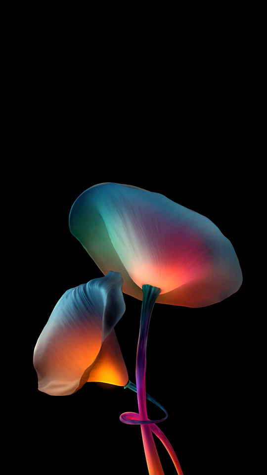Ethereal Gradient Flowers Wallpaper