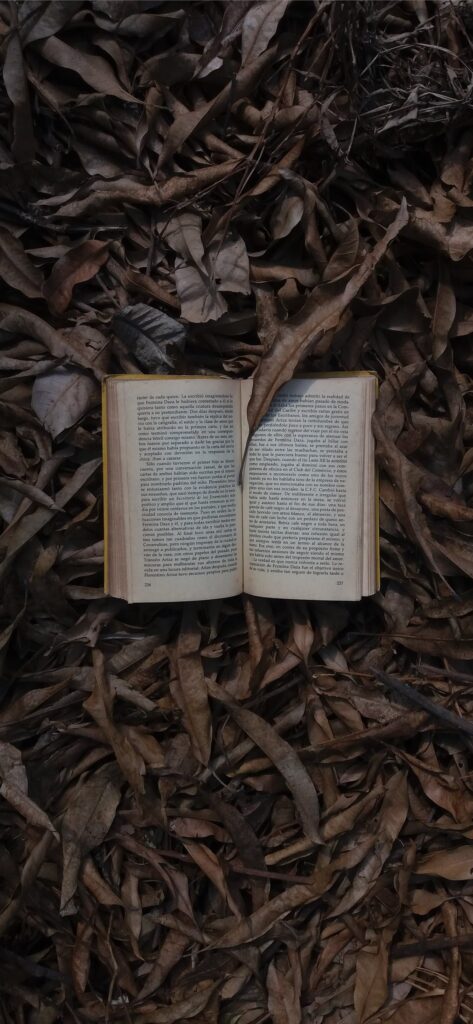 book open on dried leaves top view photography iphone 12 pro max