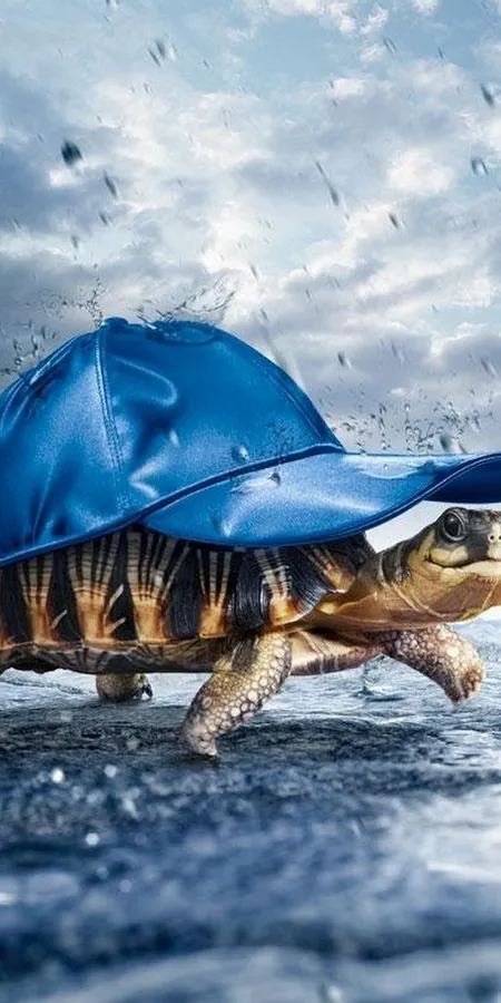 Stunning Blue HD Phone Wallpapers 0611157a89bfd8588557acd0bdaa8aa4