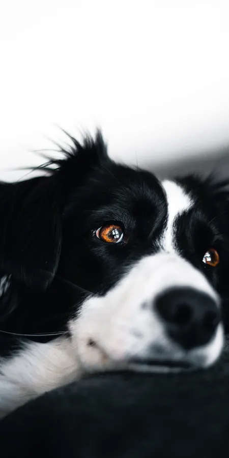 Black And White Phone Wallpapers 07ae936f3d5ea1d1eedb3fd65105e4d7