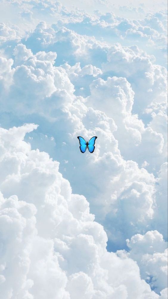 Cute Aesthetic Wallpapers 1000026886