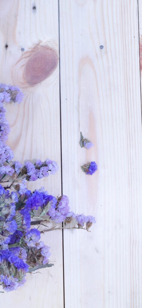 181283 reign of brayshaw flower lavender aster table 1242x2688