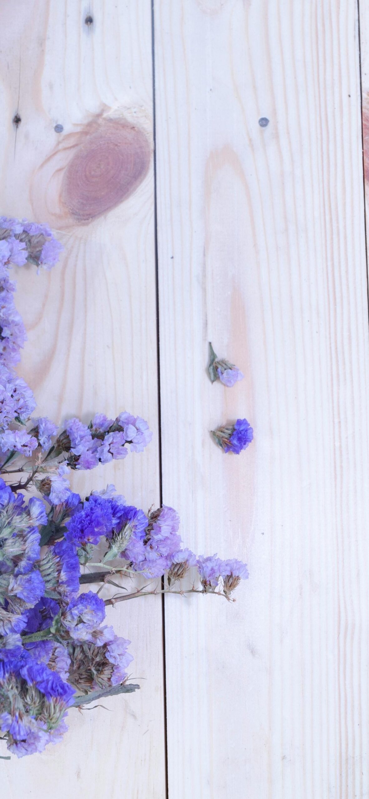 Reign of Brayshaw Lavender Wallpaper