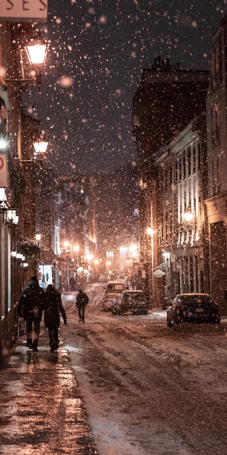 Winter Evening City Street Wallpaper