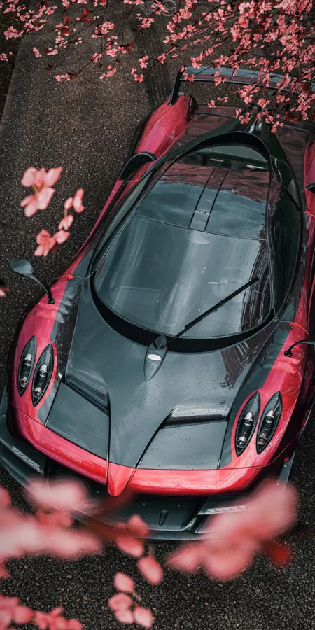 1d199a3030e11a83147879ee87bf5562