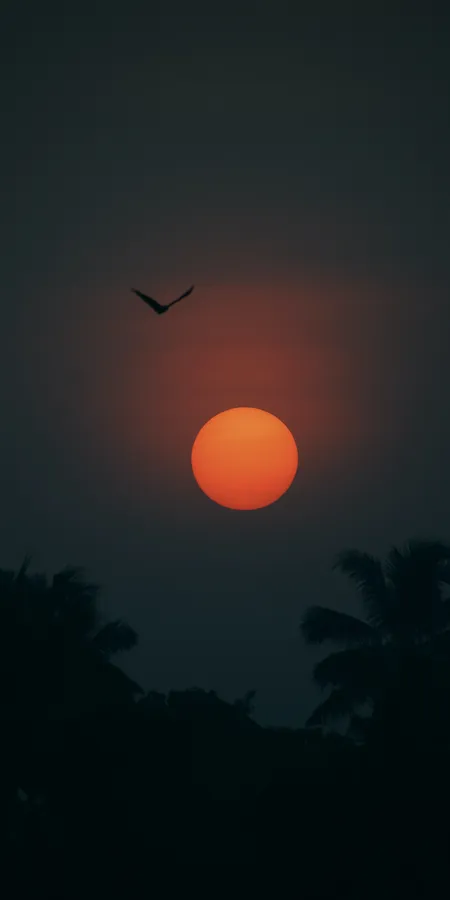 23fcaac4e15d97ba4486bf9147fd8eaa