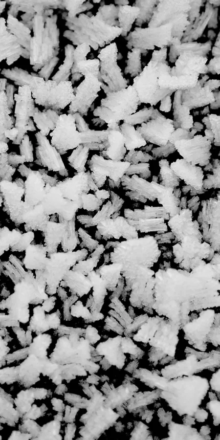 Black And White Phone Wallpapers 262a7ea3be5222f6e2fca5802e8b6d04