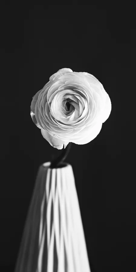 Black And White Phone Wallpapers 2e3234cff9f9b3a128a7c682f173c933