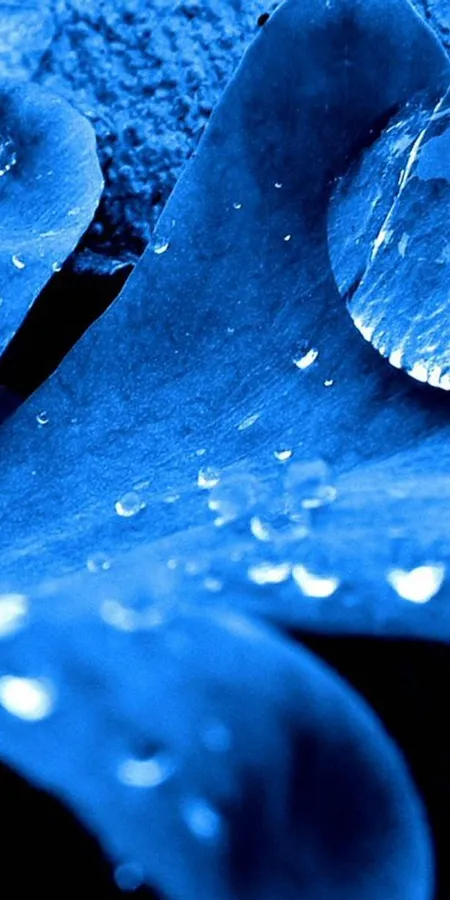 Stunning Blue HD Phone Wallpapers 3e908a9c6c3d9684c86a85c7bd69f7a7