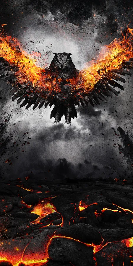 4e79ee29da2685947848e7a03e824411