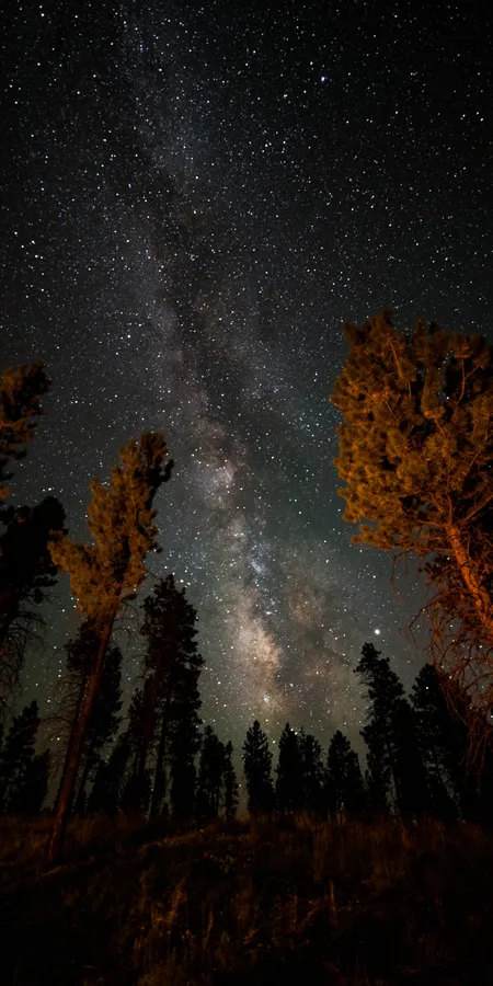 644fb2edf51e2b82d71b18badf5211d3