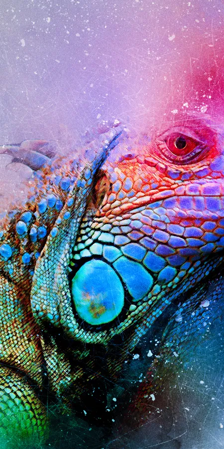 75a6011b020ae669f7383a76fa9b5c66