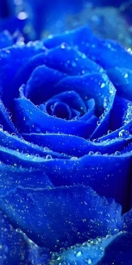 Stunning Blue HD Phone Wallpapers 78458fd4dc93bf663b132227e27bc769