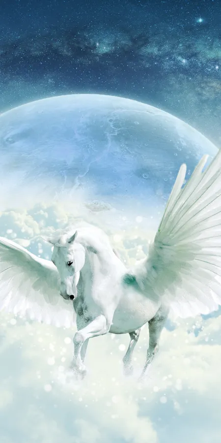 80ed07077ad5819418fa7a81f5074636