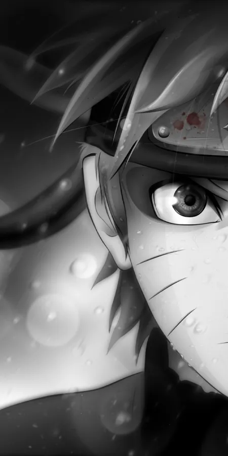 8733fd17dc8b05a6042c81f55aeffe25