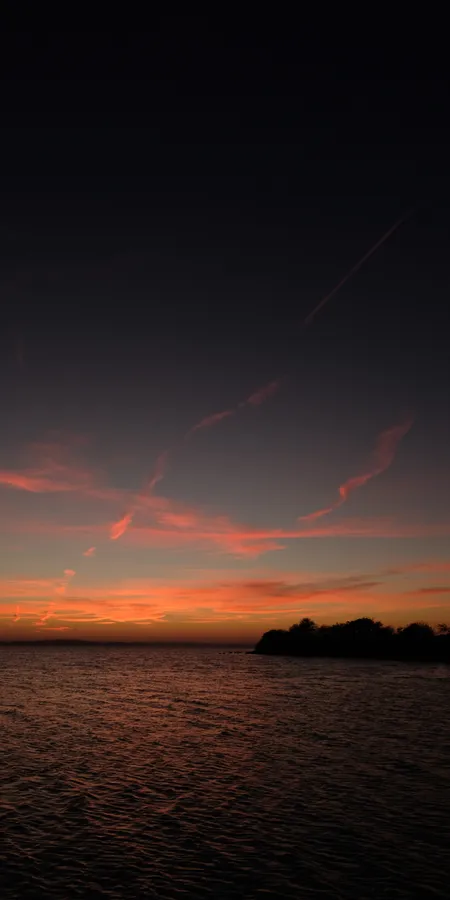 8ff257f908509951d1e22a6cc6c1d91c