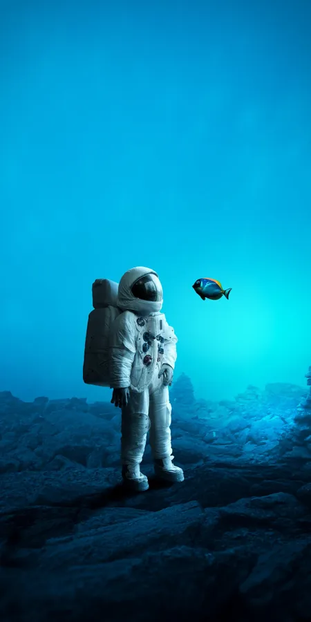 950d33e12cba48539f77ba82f33693da