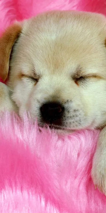 9694ecfb3cc921da257fb0bd5b728ff4