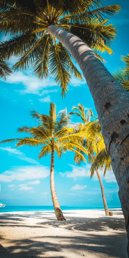 a0f463d53f37f2cf2ca4799c24047dc1