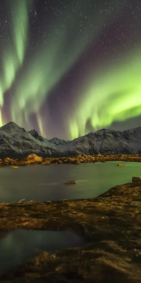 b67317bb5c591ba5e52d16a0ed310534