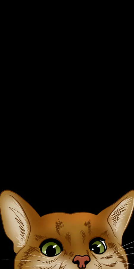 Curious Cat Peek Wallpaper