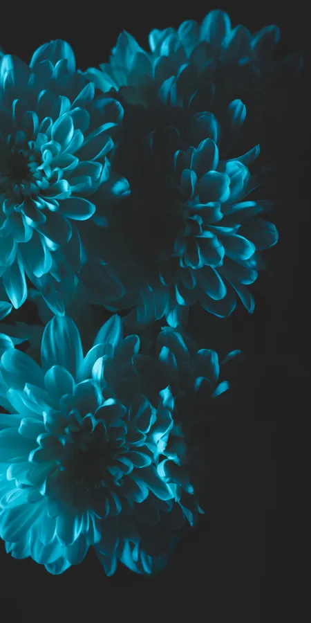 Stunning Blue HD Phone Wallpapers d59c578bb2ba126f12c0e03f9a87d28a