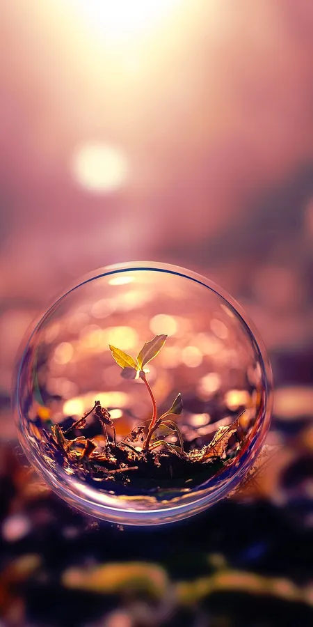 High-Quality 3D Wallpapers to Upgrade Your Screen d728b52550e57a514032781e48983c65