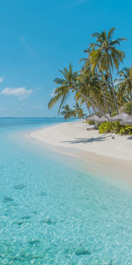 dd92a3cc7229cafc9841e159b679d3e7