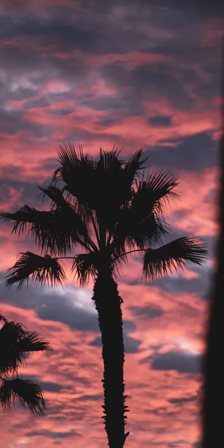 dd9d336d7cf25136985639111fc4ea8d