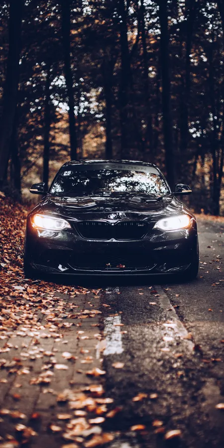 BMW Autumn Drive Wallpaper