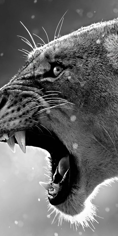 fdfe5a338561a12e852d0d561f872050 (1)