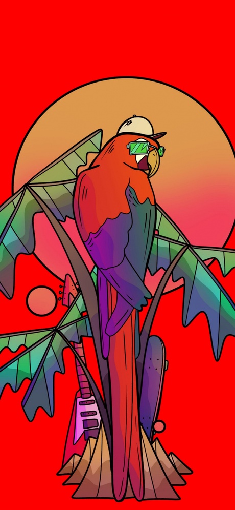 img1.wallspic.com wow wow wubbzy pumpkin stencil birds flowering plant art bird 1242x2688 37