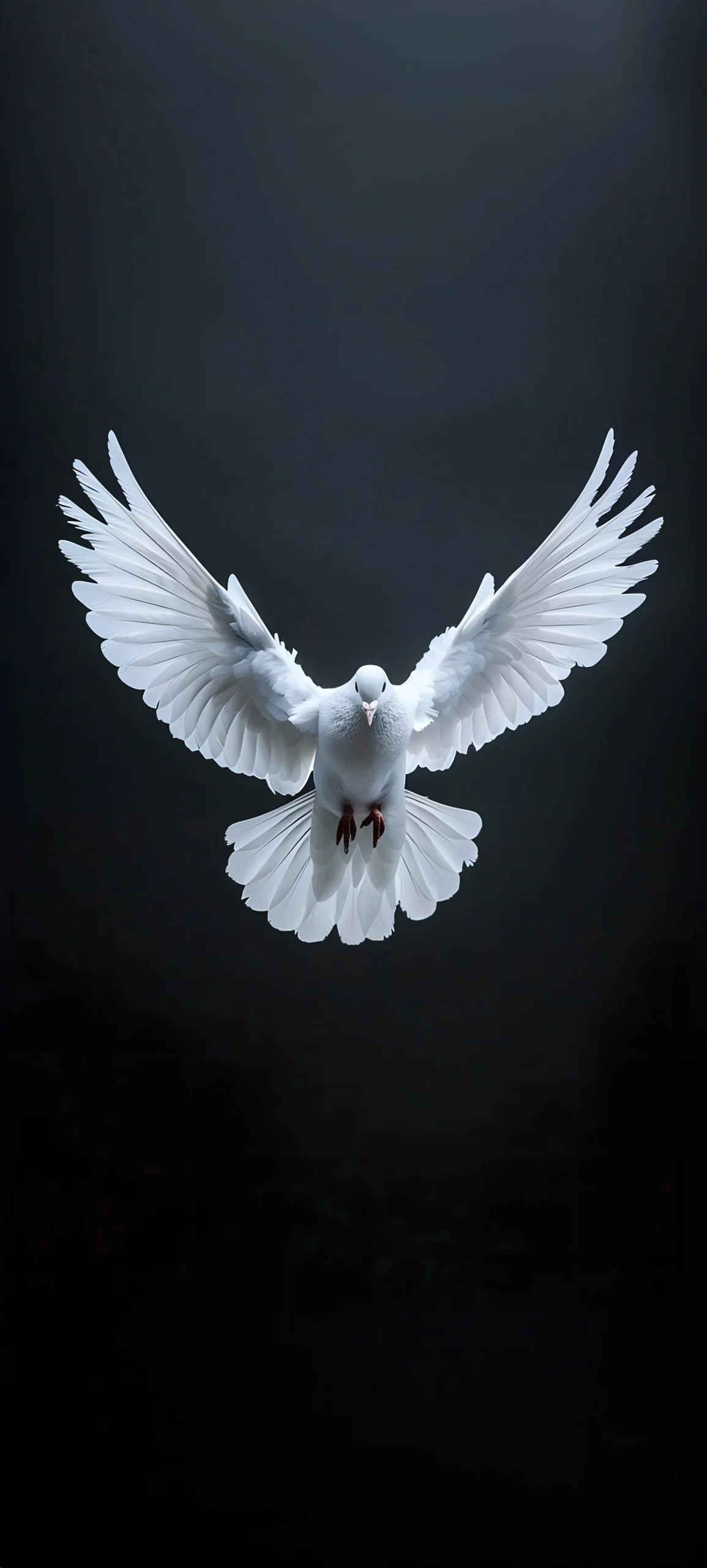 White Dove Minimalist Flight Wallpaper
