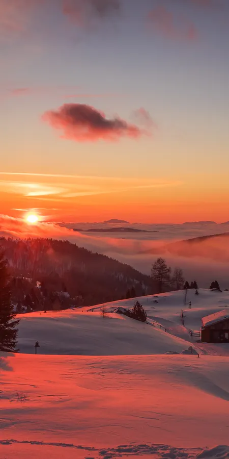 6785d121deb22bcc727b06f4b8411a24