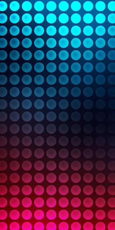 6835b00714d8c68a6c23af29b5dff5a8