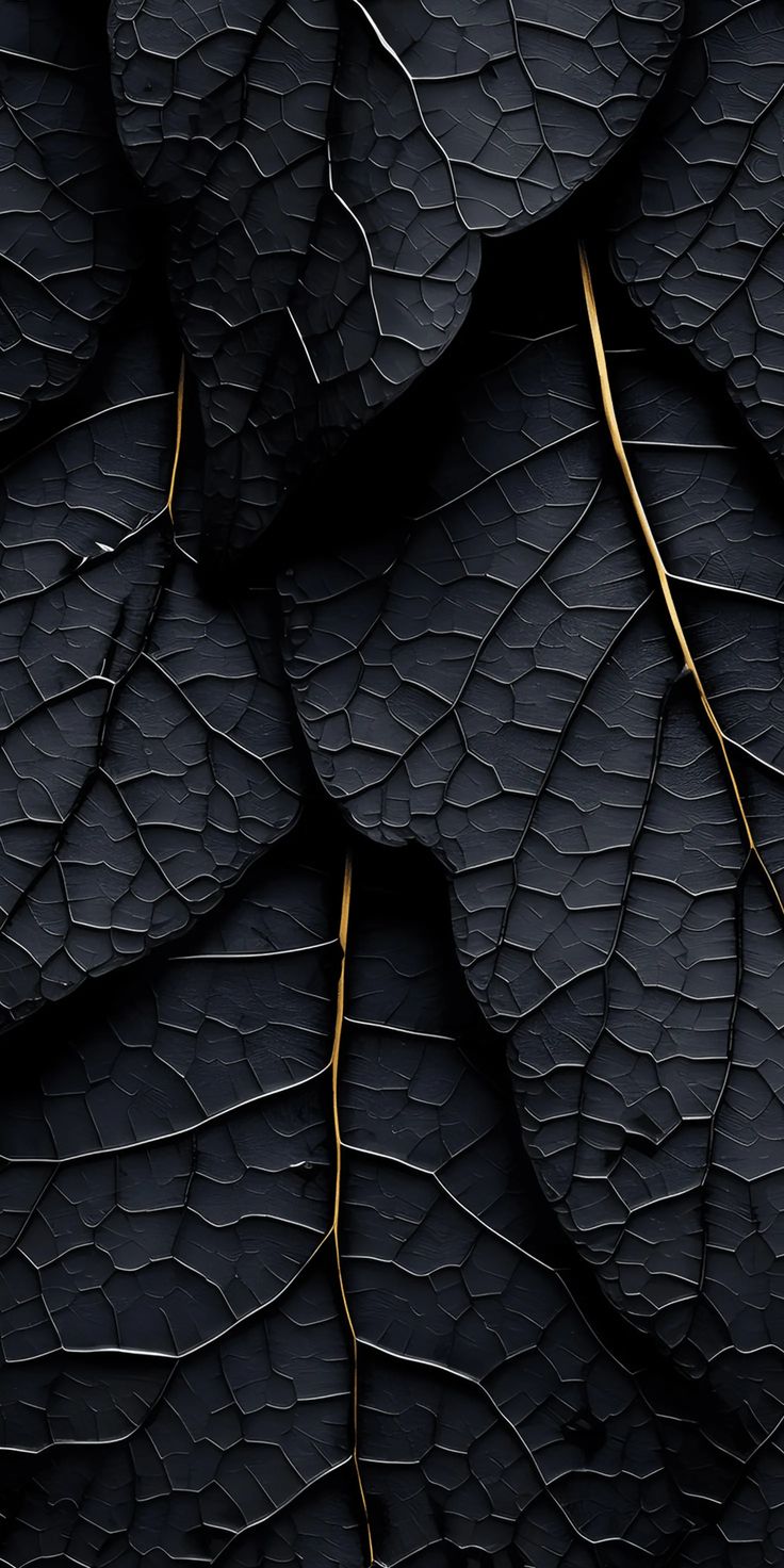 6d2cc02af70f6fcca76e78024313706f