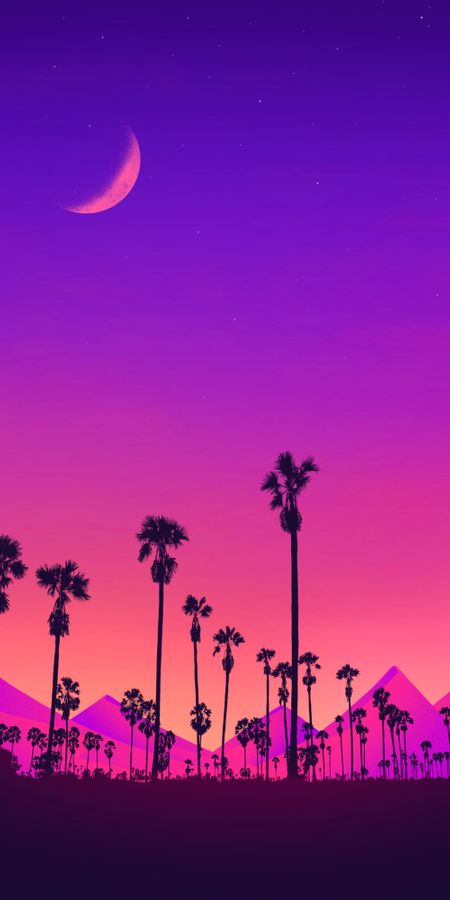 Neon Palm Sunset Wallpaper