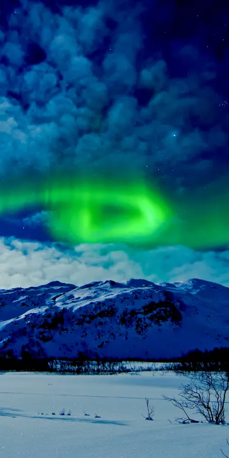 Aurora Borealis Winter Wallpaper