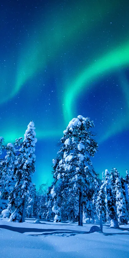 Mystic Polar Lights Wallpaper