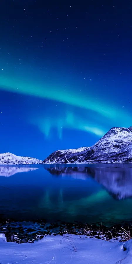 Aurora Borealis Snow Wallpaper