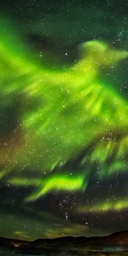 Winter Northern Lights Wallpaper