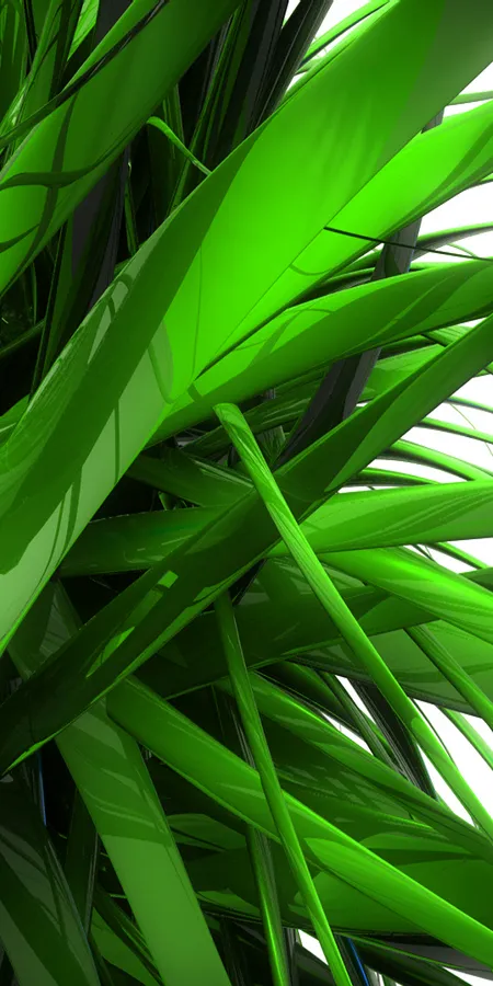 Lush Tropical Leaves Wallpaper
