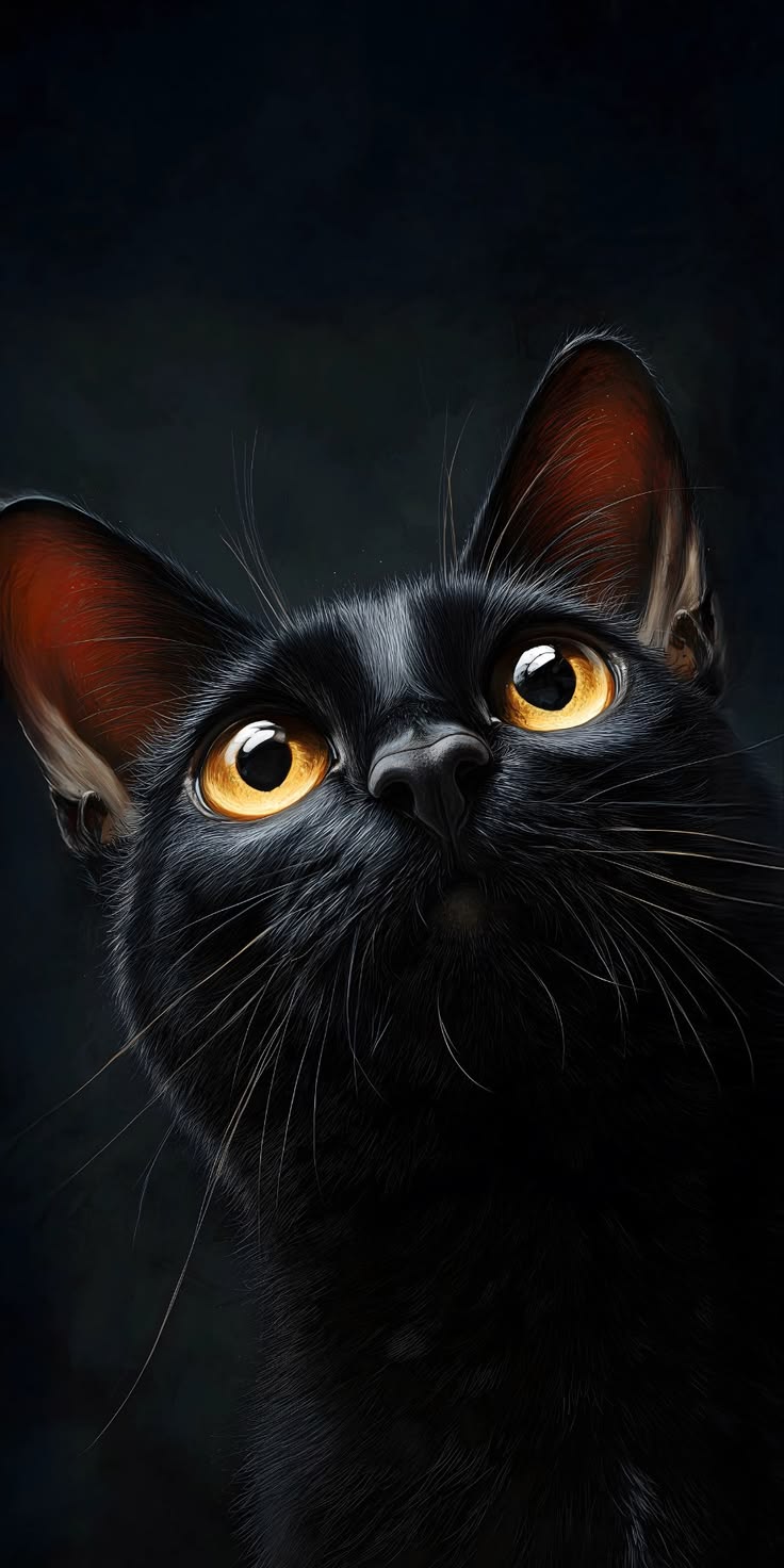 Black Cat Eyes Wallpaper – Elegant Dark Cat Portrait with Amber Gaze