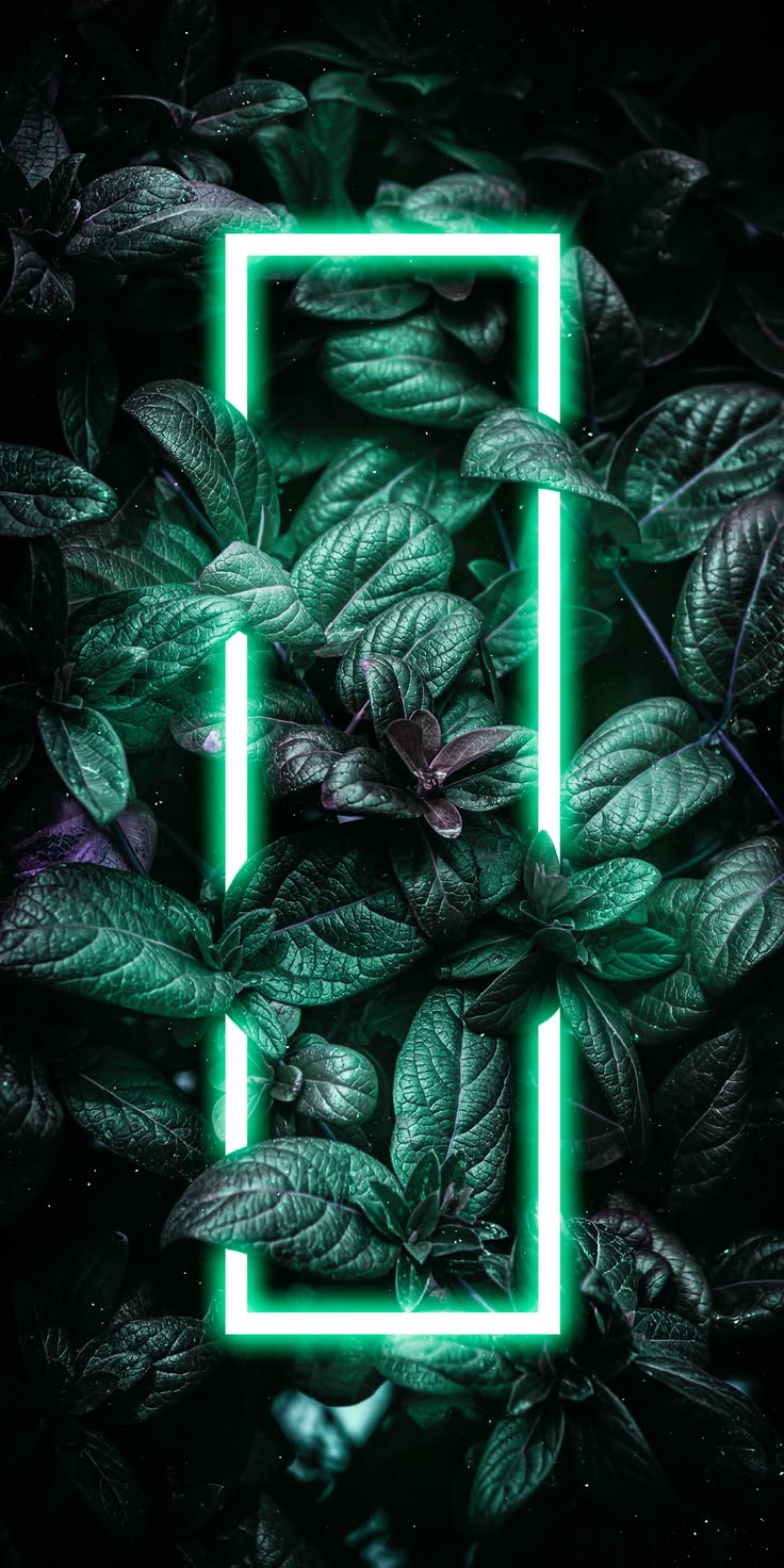 Neon Green Rectangle Wallpaper – Glowing Light Against Dark Foliage